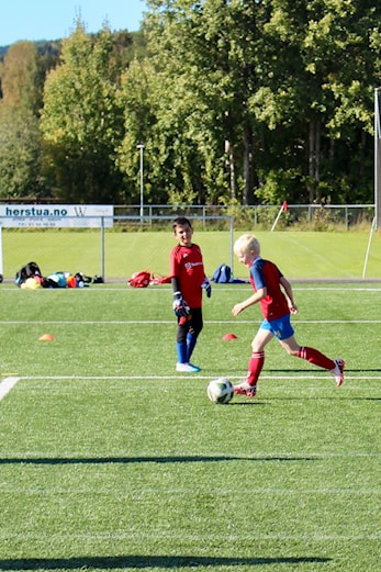 Årsmelding 2024
